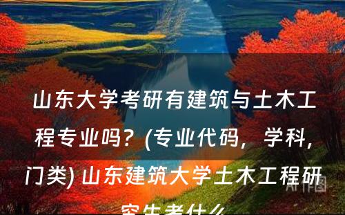 山东大学考研有建筑与土木工程专业吗？(专业代码，学科，门类) 山东建筑大学土木工程研究生考什么