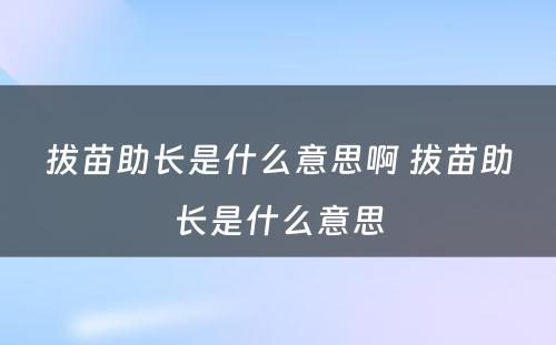 拔苗助长是什么意思啊 拔苗助长是什么意思