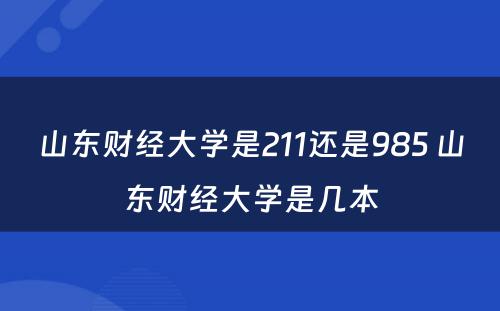 山东财经大学是211还是985 山东财经大学是几本