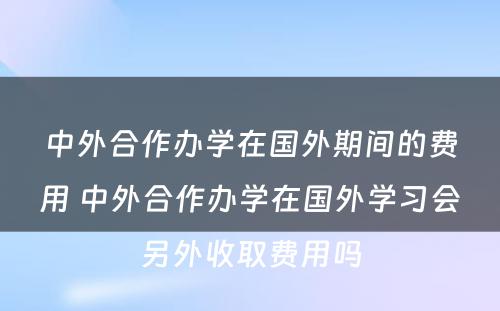 中外合作办学在国外期间的费用 中外合作办学在国外学习会另外收取费用吗