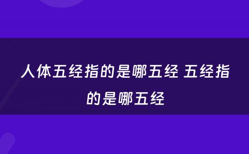 人体五经指的是哪五经 五经指的是哪五经