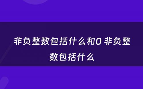 非负整数包括什么和0 非负整数包括什么