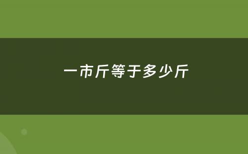  一市斤等于多少斤