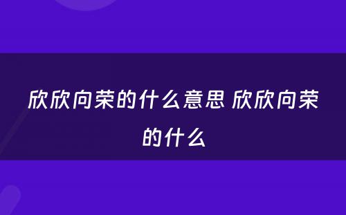 欣欣向荣的什么意思 欣欣向荣的什么