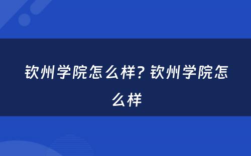 钦州学院怎么样? 钦州学院怎么样