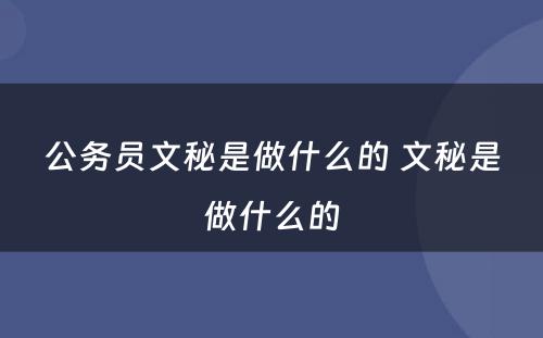 公务员文秘是做什么的 文秘是做什么的