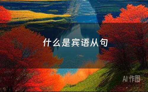  什么是宾语从句