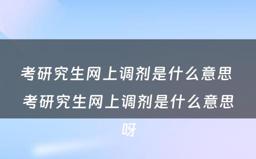 考研究生网上调剂是什么意思 考研究生网上调剂是什么意思呀