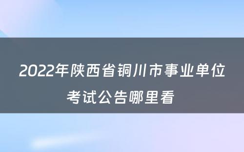 2022年陕西省铜川市事业单位考试公告哪里看 