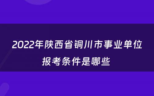 2022年陕西省铜川市事业单位报考条件是哪些 