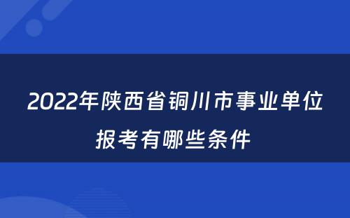 2022年陕西省铜川市事业单位报考有哪些条件 