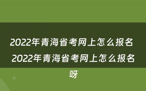 2022年青海省考网上怎么报名 2022年青海省考网上怎么报名呀