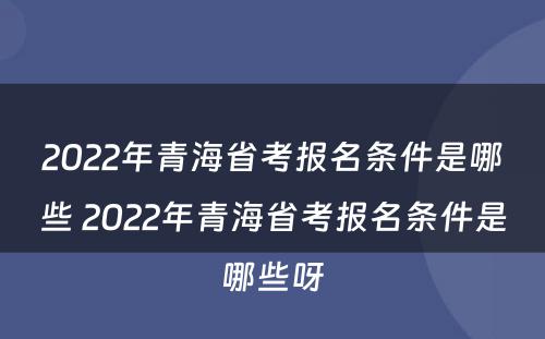 2022年青海省考报名条件是哪些 2022年青海省考报名条件是哪些呀