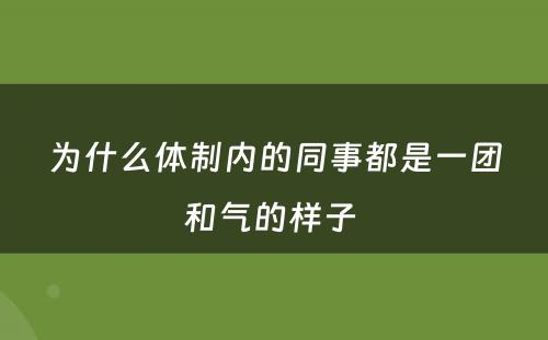 为什么体制内的同事都是一团和气的样子 