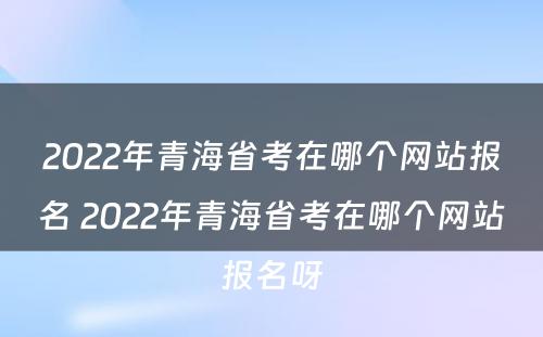 2022年青海省考在哪个网站报名 2022年青海省考在哪个网站报名呀