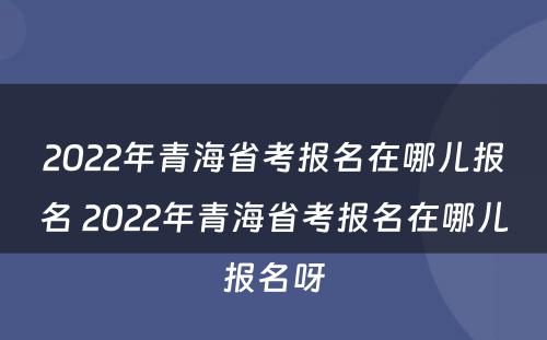 2022年青海省考报名在哪儿报名 2022年青海省考报名在哪儿报名呀