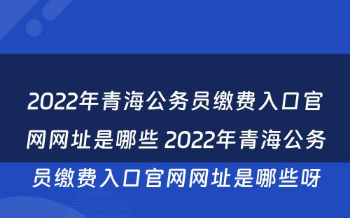 2022年青海公务员缴费入口官网网址是哪些 2022年青海公务员缴费入口官网网址是哪些呀