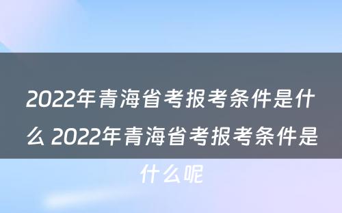 2022年青海省考报考条件是什么 2022年青海省考报考条件是什么呢