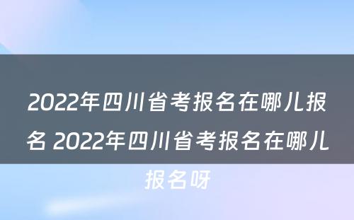 2022年四川省考报名在哪儿报名 2022年四川省考报名在哪儿报名呀