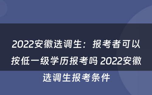 2022安徽选调生：报考者可以按低一级学历报考吗 2022安徽选调生报考条件