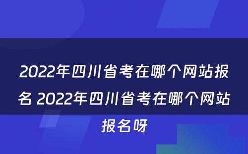 2022年四川省考在哪个网站报名 2022年四川省考在哪个网站报名呀