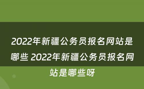 2022年新疆公务员报名网站是哪些 2022年新疆公务员报名网站是哪些呀