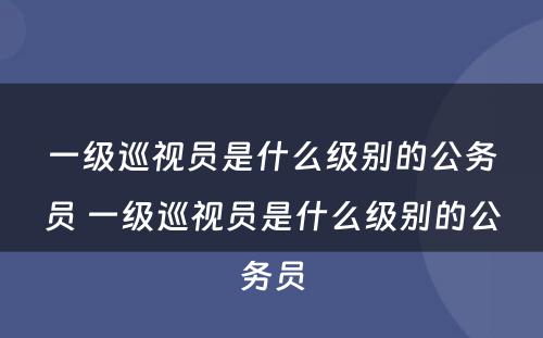 一级巡视员是什么级别的公务员 一级巡视员是什么级别的公务员