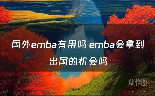 国外emba有用吗 emba会拿到出国的机会吗