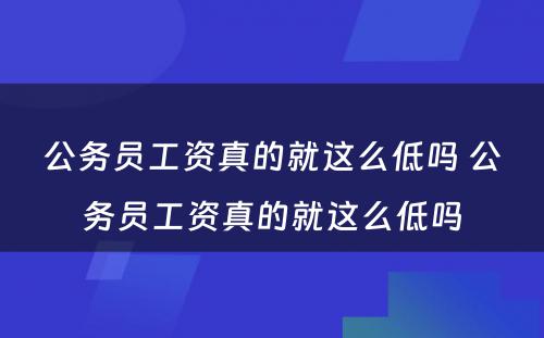 公务员工资真的就这么低吗 公务员工资真的就这么低吗