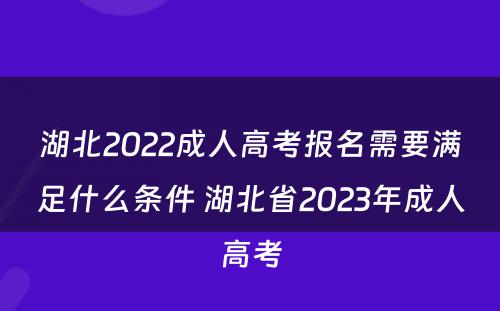 湖北2022成人高考报名需要满足什么条件 湖北省2023年成人高考