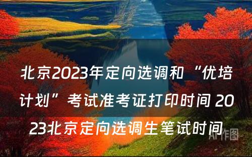 北京2023年定向选调和“优培计划”考试准考证打印时间 2023北京定向选调生笔试时间