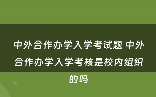 中外合作办学入学考试题 中外合作办学入学考核是校内组织的吗