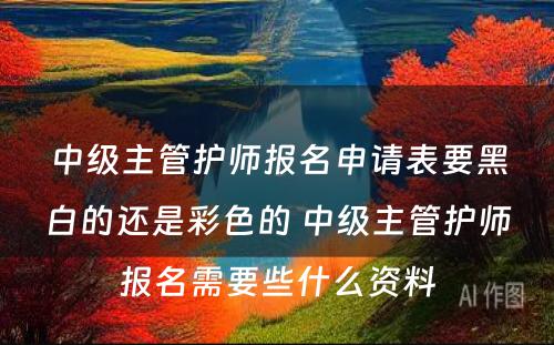 中级主管护师报名申请表要黑白的还是彩色的 中级主管护师报名需要些什么资料