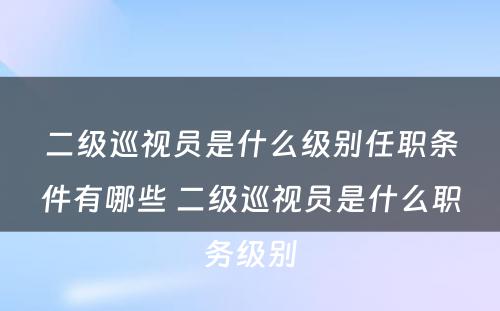 二级巡视员是什么级别任职条件有哪些 二级巡视员是什么职务级别