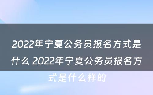2022年宁夏公务员报名方式是什么 2022年宁夏公务员报名方式是什么样的