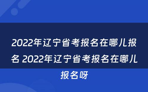 2022年辽宁省考报名在哪儿报名 2022年辽宁省考报名在哪儿报名呀