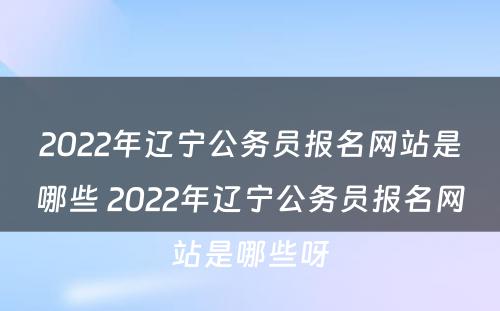 2022年辽宁公务员报名网站是哪些 2022年辽宁公务员报名网站是哪些呀