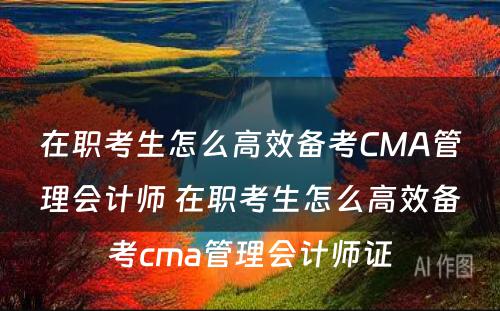 在职考生怎么高效备考CMA管理会计师 在职考生怎么高效备考cma管理会计师证