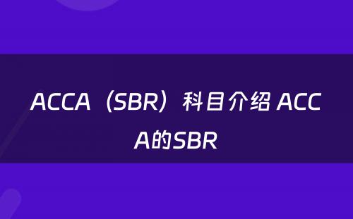 ACCA（SBR）科目介绍 ACCA的SBR
