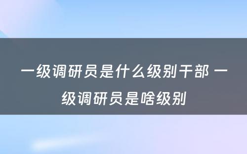 一级调研员是什么级别干部 一级调研员是啥级别