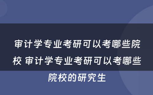 审计学专业考研可以考哪些院校 审计学专业考研可以考哪些院校的研究生