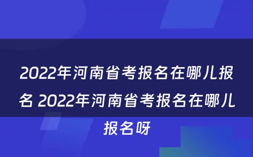 2022年河南省考报名在哪儿报名 2022年河南省考报名在哪儿报名呀