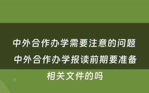 中外合作办学需要注意的问题 中外合作办学报读前期要准备相关文件的吗