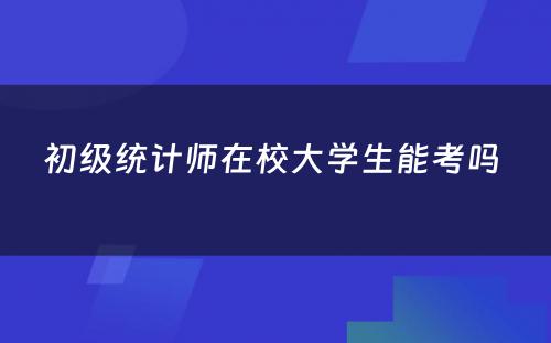 初级统计师在校大学生能考吗 