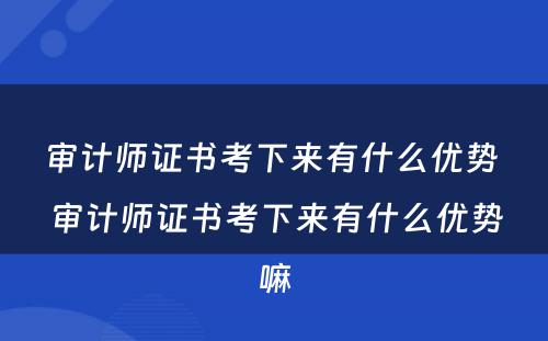 审计师证书考下来有什么优势 审计师证书考下来有什么优势嘛