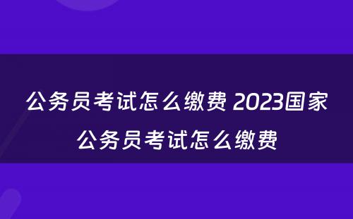 公务员考试怎么缴费 2023国家公务员考试怎么缴费