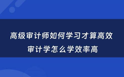 高级审计师如何学习才算高效 审计学怎么学效率高