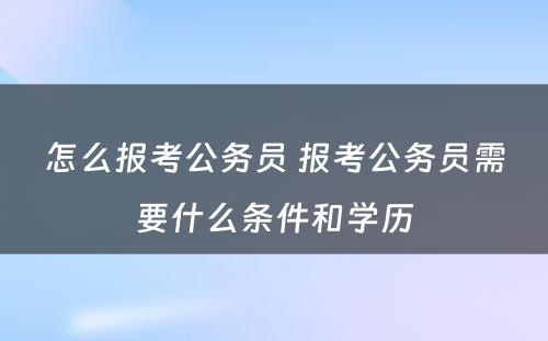 怎么报考公务员 报考公务员需要什么条件和学历