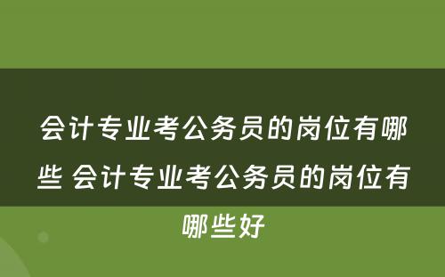 会计专业考公务员的岗位有哪些 会计专业考公务员的岗位有哪些好