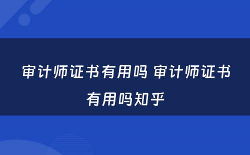 审计师证书有用吗 审计师证书有用吗知乎